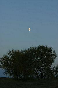 夕方、オルダ村に月が出た