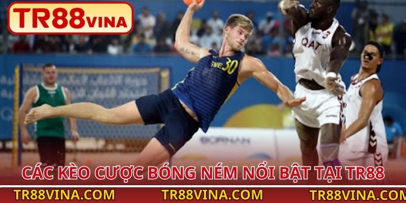 Các kèo cược bóng ném nổi bật tại TR88