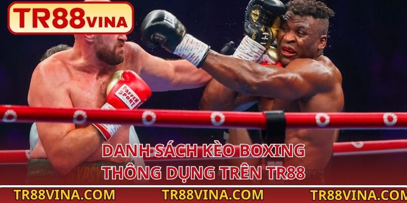 Danh sách kèo boxing thông dụng trên TR88