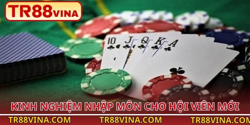 Phỏm – Tinh Hoa Bài Lá Việt, Giải Trí Hấp Dẫn Tại TR88 4 Kinh nghiệm nhập môn cho hội viên mới