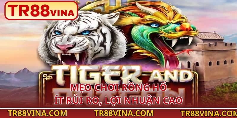 Mẹo chơi Rồng Hổ ít rủi ro, lợi nhuận cao