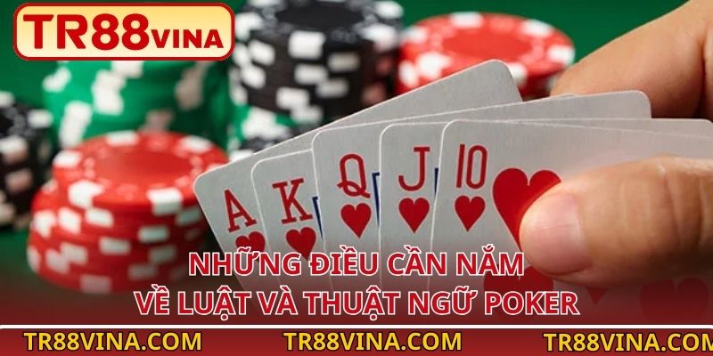 Lưu Ý Khi Chơi Poker Tại TR88 Giúp Người Mới Tránh Sai Lầm 2 Những điều cần nắm về luật và thuật ngữ Poker