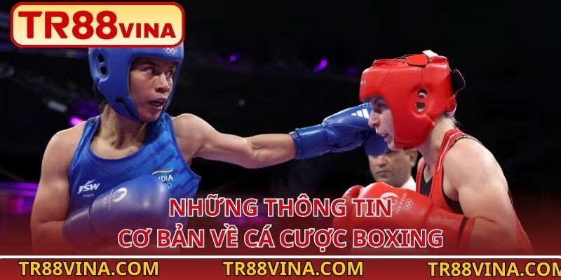 Những thông tin cơ bản về cá cược boxing