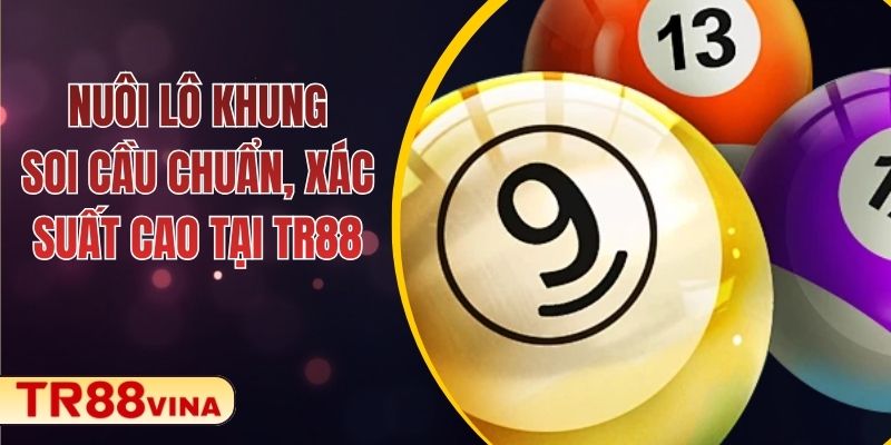 Nuôi Lô Khung – Soi Cầu Chuẩn, Xác Suất Cao Tại TR88