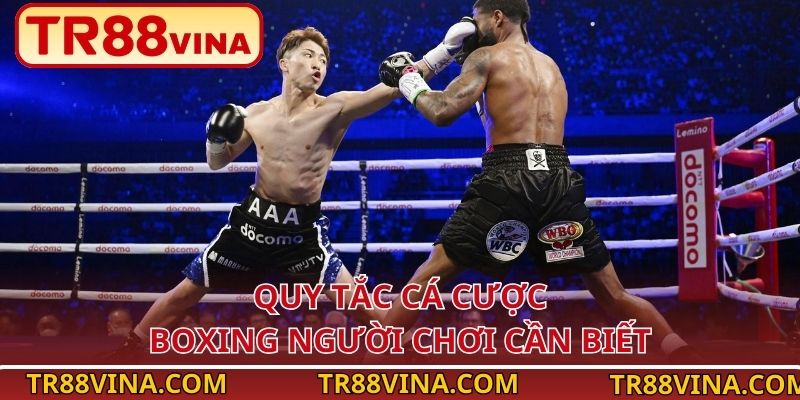 Quy tắc cá cược boxing người chơi cần biết