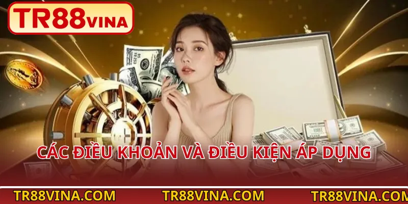 Các điều khoản và điều kiện áp dụng